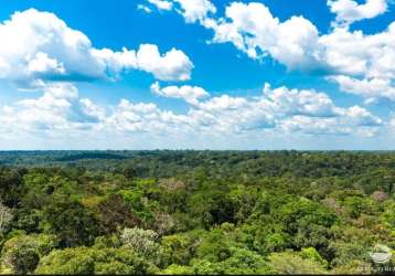 Fazenda com mata nativa em nova aripuanã/am - imperdível!