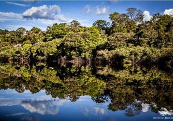 Fazenda incrível em manicoré/am