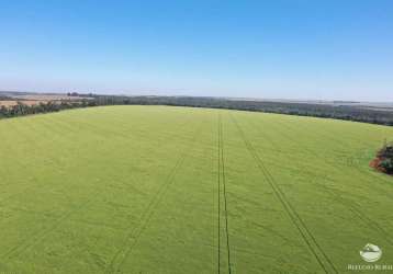 Fazenda incrível em corpus christi no paraguai