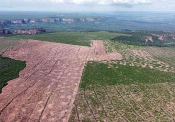 Fazenda incrível em palmeira do piauí/pi - ótima oportunidade de negócio!