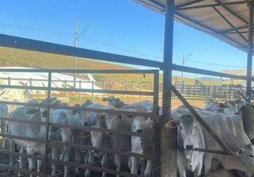 Fazenda imperdível em são josé dos campos/sp