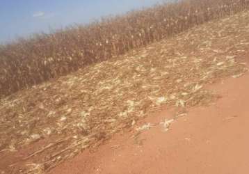 Fazenda para arrendamento em nova maringá/mt