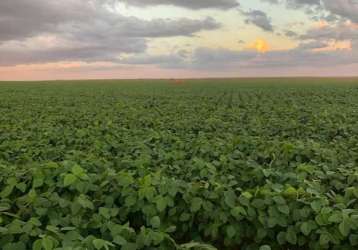 Fazenda incrível em nova brasilândia/mt