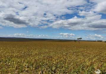 Fazenda completa em água fria de goiás/go