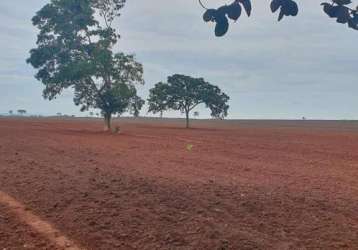 Fazenda excelente dupla aptidão em rosário oeste/mt