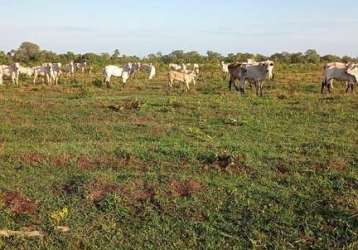 Fazenda imperdível em são félix do araguaia/mt