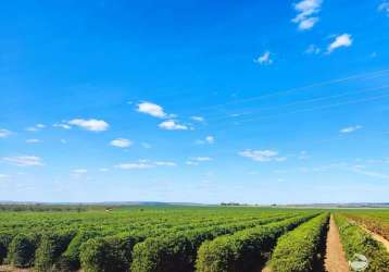 Fazenda imperdível em patos de minas/mg