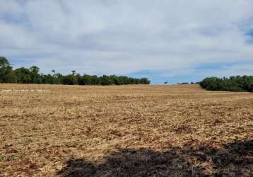 Sítio à venda, água do abóbora, ibiporã, pr