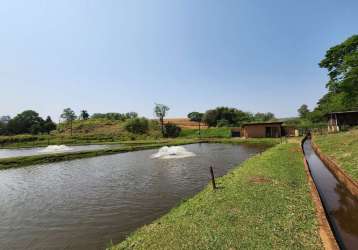 Sítio à venda, núcleo habitacional afonso alves de camargo, apucarana, pr