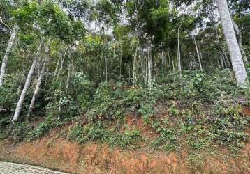 Terreno em condomínio fechado à venda na estrada adelmar tavares, parque do imbui, teresópolis, 1700 m2 por r$ 260.000