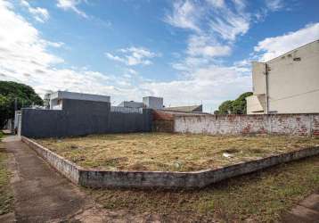 Locação - terreno av. josé alves nendo