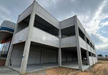 Barracão / galpão / depósito para alugar na abílio manoel de lima, 359, pinguirito, garopaba, 300 m2 por r$ 15.000