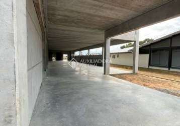 Barracão / galpão / depósito para alugar na abílio manoel de lima, 023, pinguirito, garopaba, 300 m2 por r$ 20.000