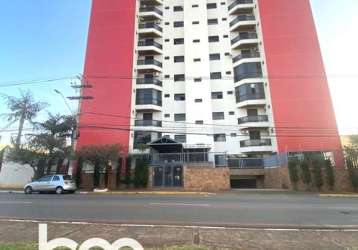 Comprar apartamento no centro de sumaré.