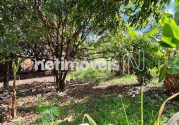 Venda lote-área-terreno garças belo horizonte