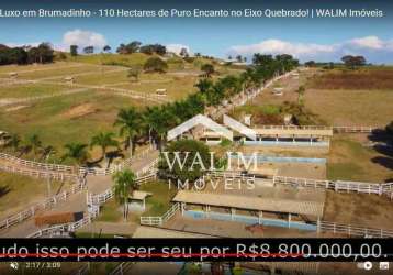 ?? oportunidade única: fazenda haras de 110 hectares em brumadinho, mg! ??