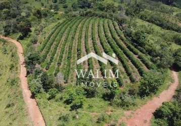 Fazenda estância senhor raimundo,55 hectares - carmópolis de minas, mg: um refúgio de potencial e natureza!