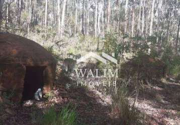 Terreno à venda - 33 hectares - 15 hec eucaliptos - zona rural, santana do garambéu, mg