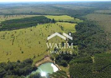 Oportunidade imperdível! fazenda de 350 hectares em felixlândia, mg – preço abaixo do mercado!