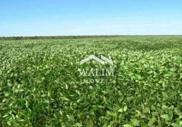 Fazenda de 1.032 hectares à venda em bonito de minas, mg