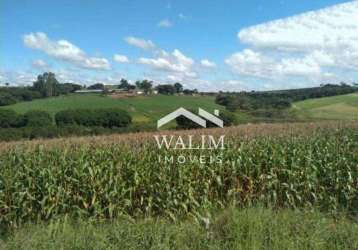 Fazenda paraíso: um oásis produtivo no sul de minas gerais