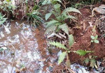 Fazenda de 39 hectares – terra de cultura em são josé da varginha, mg