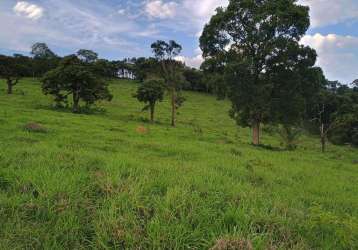 Terreno de 54 ha em itaguara/mg – área preparada para plantio, pasto e vegetação nativa!