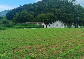 Chácara / sítio com 4 quartos à venda no alto da serra, pomerode  por r$ 4.990.000