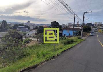 Terreno comercial para alugar na rio das antas, 1, berger, caçador