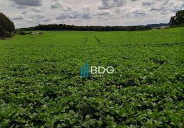 Excelente área para indústria em fazenda rio grande