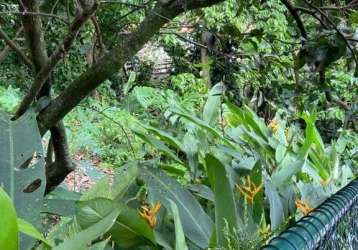 Casa com 4 quartos à venda na rua poeta khalil gibran, itanhangá, rio de janeiro, 808 m2 por r$ 3.500.000