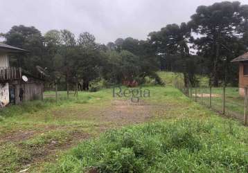 Terreno no bairro ulisses de abreu em canela!