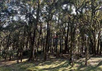 Terreno à venda, 952 m² por r$ 750.000 - bosque sinoserra - canela/rs