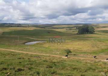 Sítio à venda, 201 hectares por r$ 11.500.000 - lajeado grande - são francisco de paula/rio grande do sul