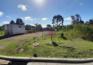 Terreno a venda no bairro eugênio ferreira em canela!