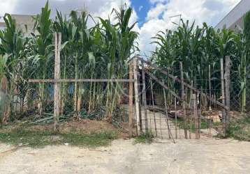 Terreno para venda em indaiatuba, jardim moriyama