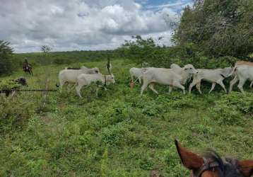 Fazenda para venda em natal, potengi