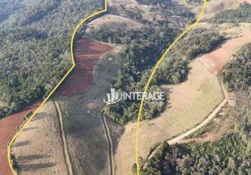 Terreno à venda, 209000 m² por r$ 1.500.000,00 - ouro fino de baixo - campo magro/pr