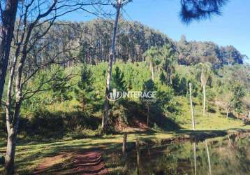 Terreno à venda, 1 m² por r$ 3.500.000 - campo largo - campo largo/paraná