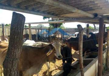 Fazenda para venda em macaíba, traíras