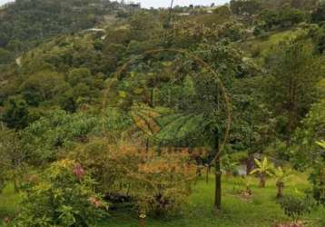 Oportunidade! chácara de 7.200m² em santa branca-sp  ch00267