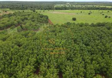 Excelente fazenda em  lagoa da confusão - tocantins fa00139