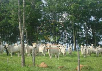 Maravilhosa fazenda com 607 hectares em vazante mg - fa00116