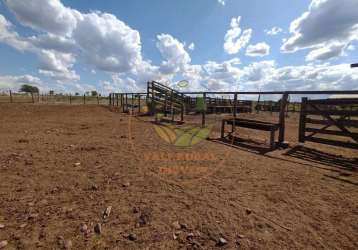 Fazenda no norte de minas com 800 hectares! porteira fechada! fa00080