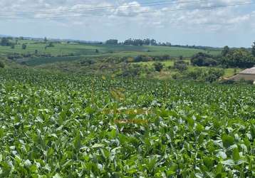 Maravilhosa fazenda com topografia muito boa, plantação de soja e facilidade no pagamento!