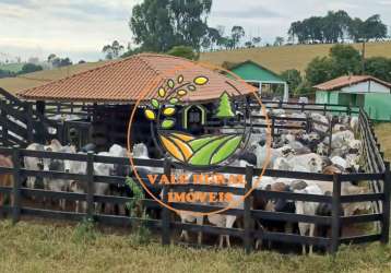 Raridade! fazenda no sul de minas de  143 hectares, com estrutura completa para bois de corte!  fa00025