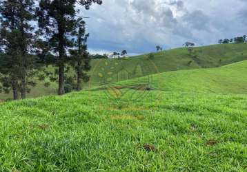 Excelente área em sapucai mirim - mg com 7 alqueires, com vista deslumbrante  ar00096