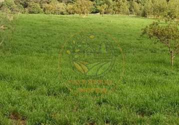 Fazenda à 100 km araguaína-to, com 385 alqueires voltada pra pecuária e agricultura, com 7,5 km de rio fa00241