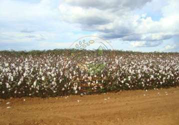 Fazenda de 15.912 hectares no mato grosso  fa00240