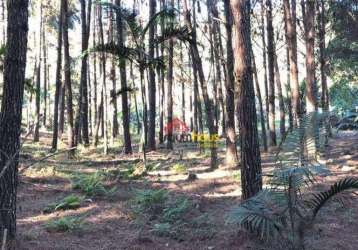 Terreno residencial à venda, progresso, blumenau - te0043.